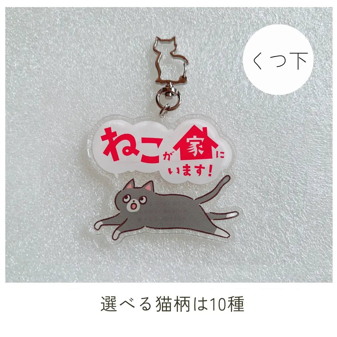 【10 Tipi】Portachiavi Gatto Domestico | Portachiavi SOS con Spazio per Contatti | Gadget Portafortuna per Proteggere il Tuo Gatto Smarrito o in Caso di Emergenza