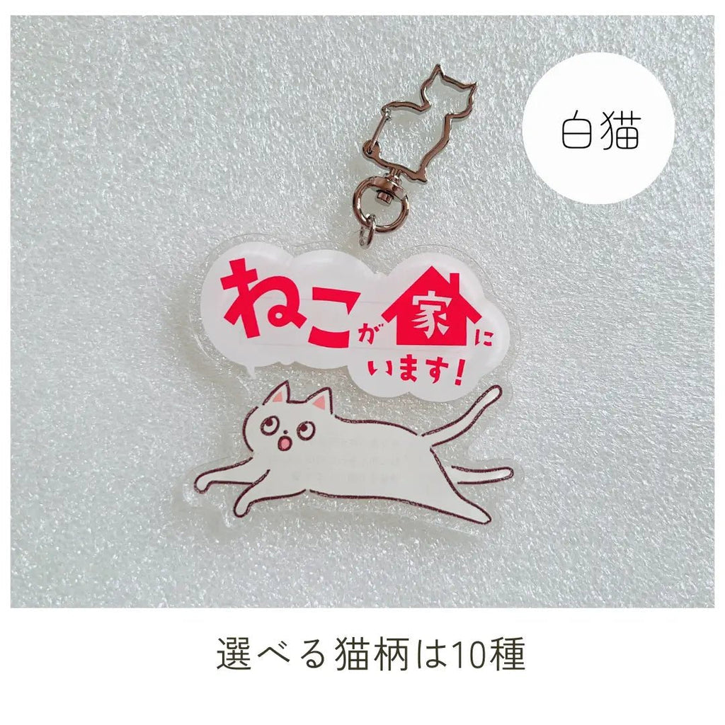 【10 Tipi】Portachiavi Gatto Domestico | Portachiavi SOS con Spazio per Contatti | Gadget Portafortuna per Proteggere il Tuo Gatto Smarrito o in Caso di Emergenza