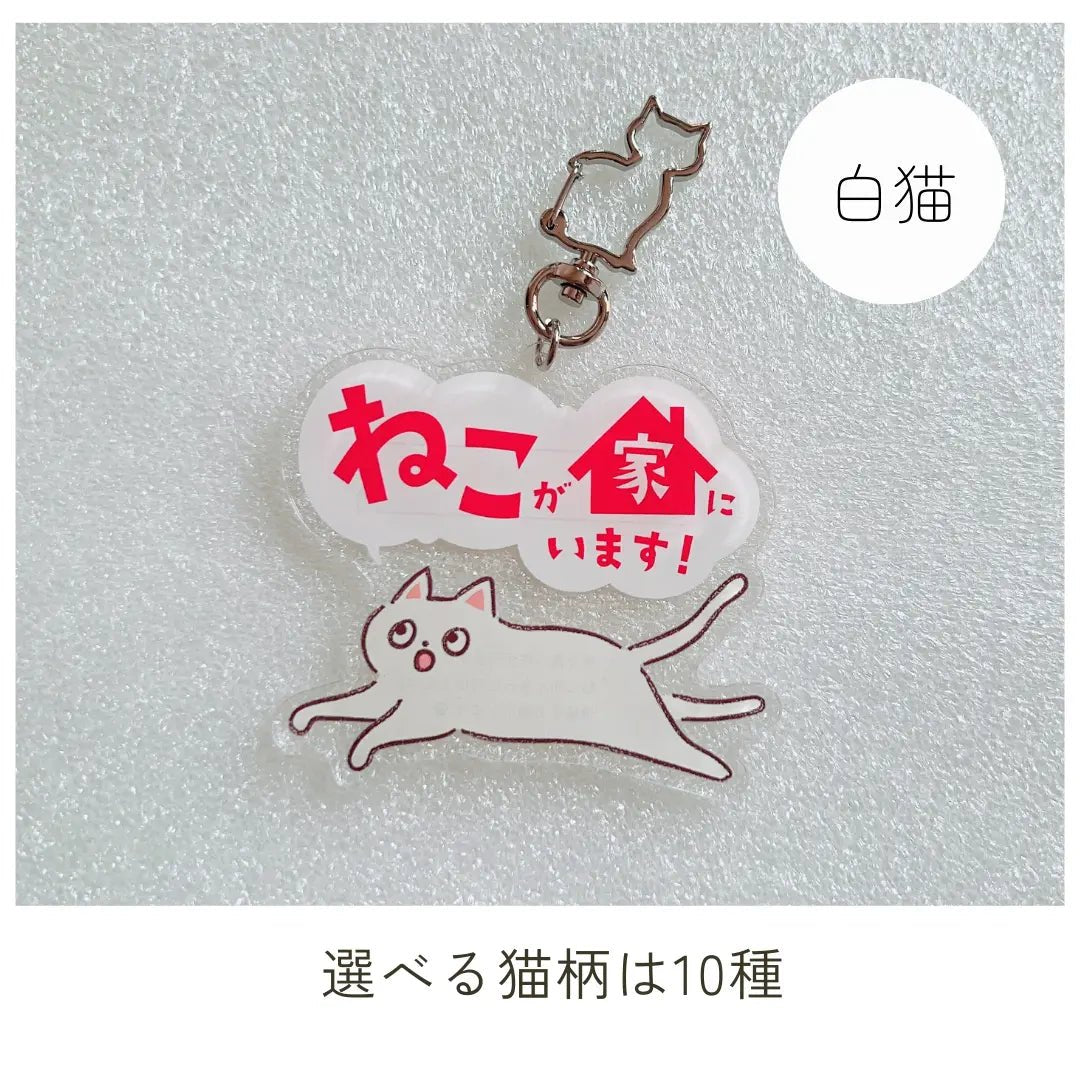 【10 Tipi】Portachiavi Gatto Domestico | Portachiavi SOS con Spazio per Contatti | Gadget Portafortuna per Proteggere il Tuo Gatto Smarrito o in Caso di Emergenza