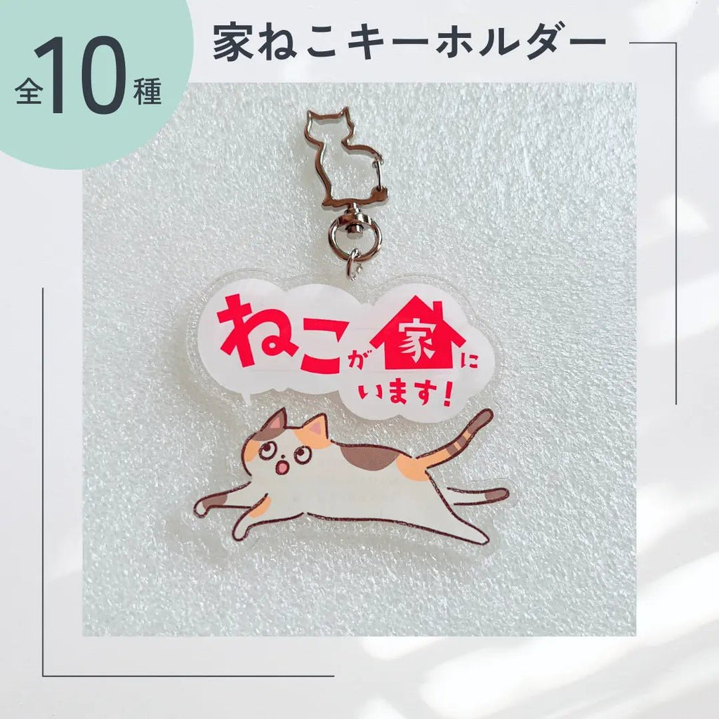【10 Tipi】Portachiavi Gatto Domestico | Portachiavi SOS con Spazio per Contatti | Gadget Portafortuna per Proteggere il Tuo Gatto Smarrito o in Caso di Emergenza