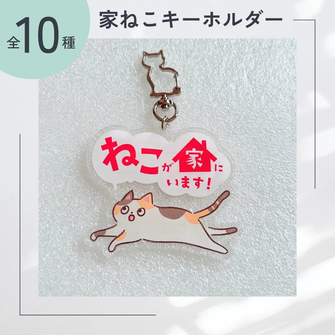 【10 Tipi】Portachiavi Gatto Domestico | Portachiavi SOS con Spazio per Contatti | Gadget Portafortuna per Proteggere il Tuo Gatto Smarrito o in Caso di Emergenza