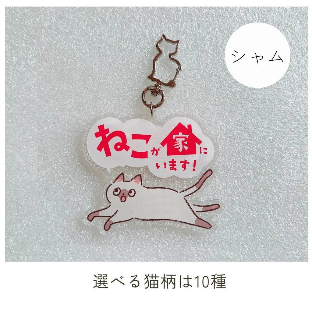 【10 Tipi】Portachiavi Gatto Domestico | Portachiavi SOS con Spazio per Contatti | Gadget Portafortuna per Proteggere il Tuo Gatto Smarrito o in Caso di Emergenza