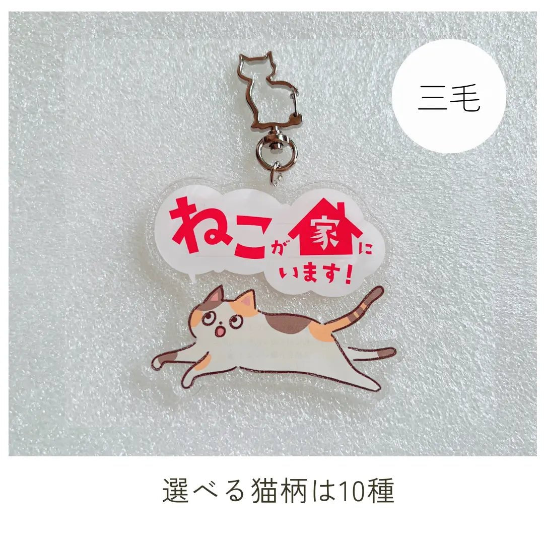 【10 Tipi】Portachiavi Gatto Domestico | Portachiavi SOS con Spazio per Contatti | Gadget Portafortuna per Proteggere il Tuo Gatto Smarrito o in Caso di Emergenza