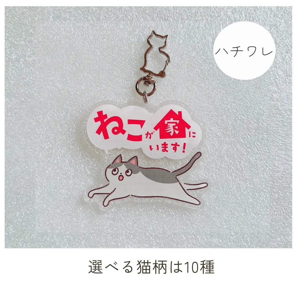 【10 Tipi】Portachiavi Gatto Domestico | Portachiavi SOS con Spazio per Contatti | Gadget Portafortuna per Proteggere il Tuo Gatto Smarrito o in Caso di Emergenza