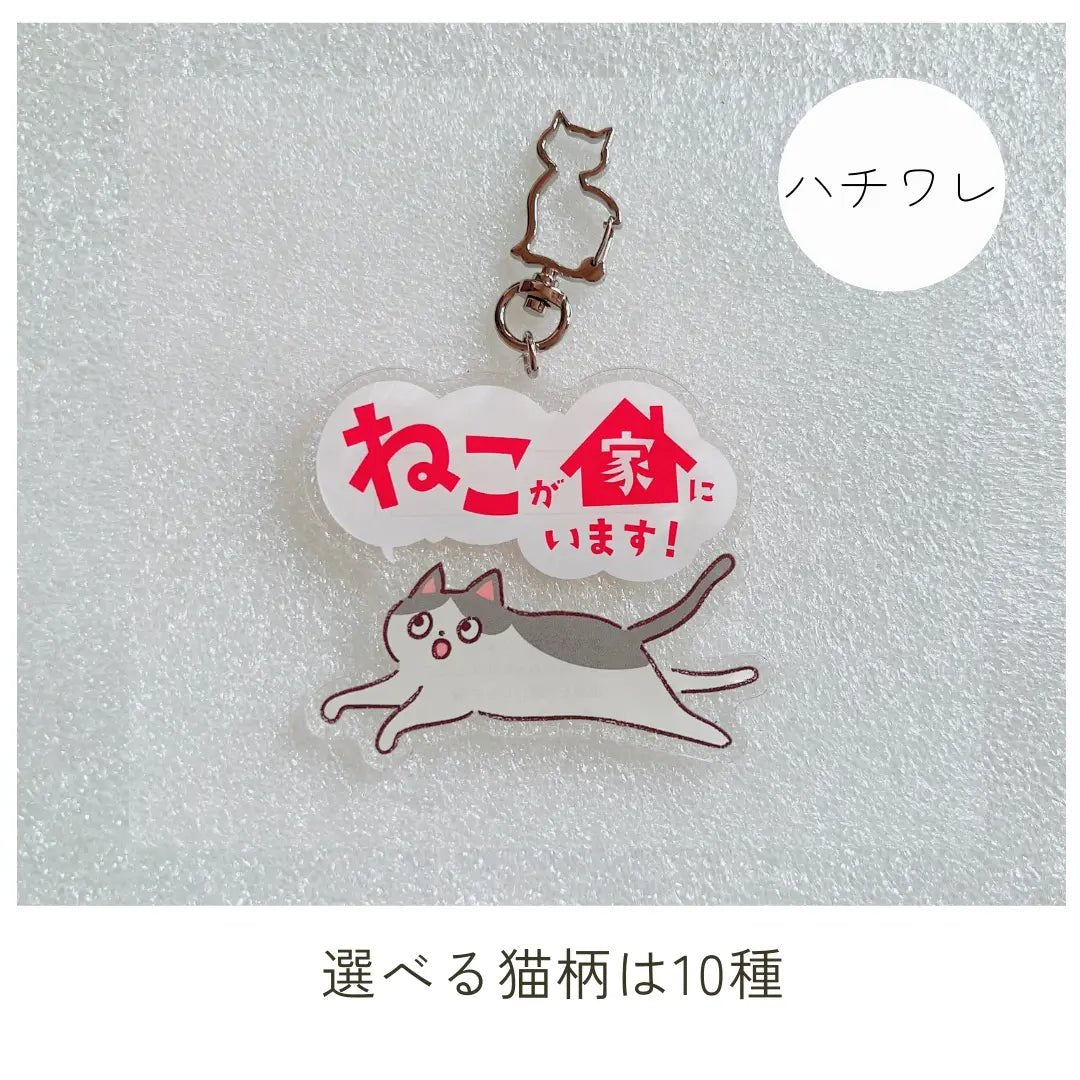 【10 Tipi】Portachiavi Gatto Domestico | Portachiavi SOS con Spazio per Contatti | Gadget Portafortuna per Proteggere il Tuo Gatto Smarrito o in Caso di Emergenza