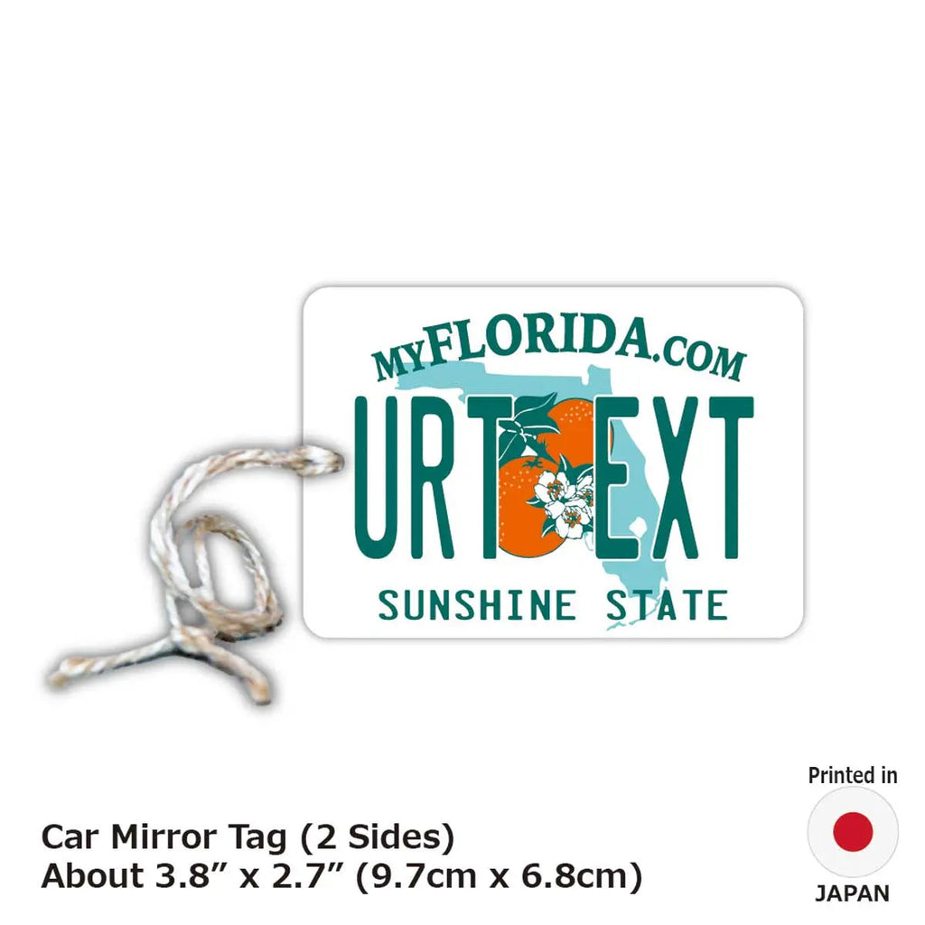 [Etichetta specchietto retrovisore] Florida anni 2000 / Deodorante per auto a forma di targa americana originale