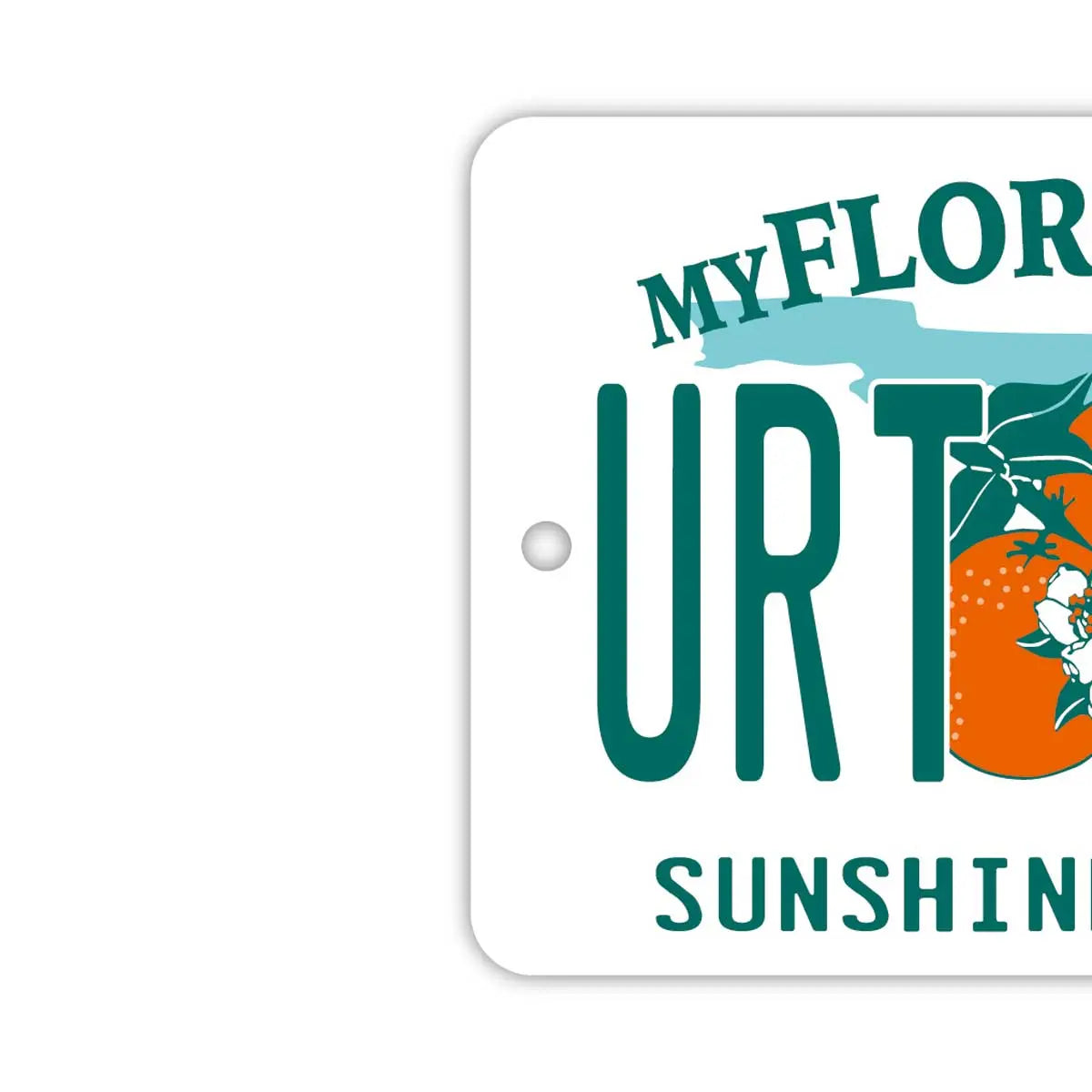 [Etichetta specchietto retrovisore] Florida anni 2000 / Deodorante per auto a forma di targa americana originale