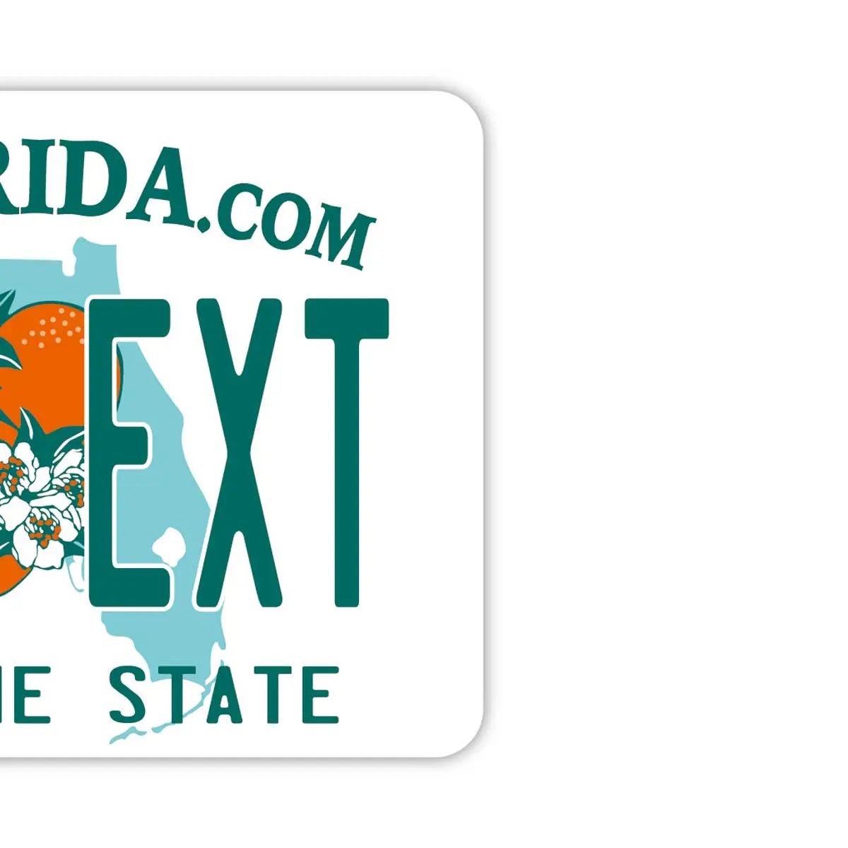 [Etichetta specchietto retrovisore] Florida anni 2000 / Deodorante per auto a forma di targa americana originale