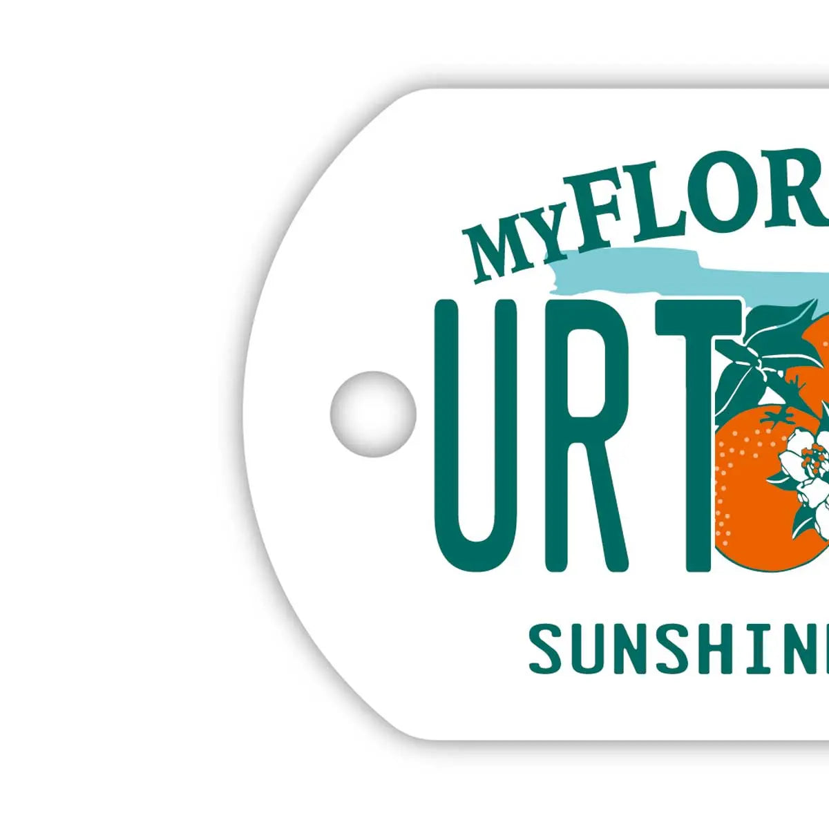 【Medaglietta identificativa per cani/Dog Tag】Florida 2000's/Portachiavi personalizzabile a forma di targa americana originale