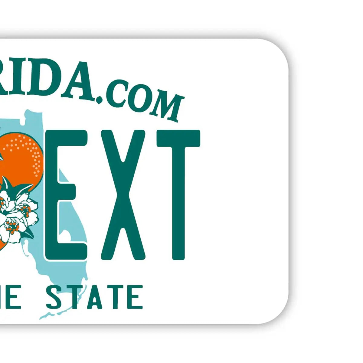 【Etichetta per bagagli】Florida anni 2000/Originale a forma di targa americana, elegante, tag anti-smarrimento