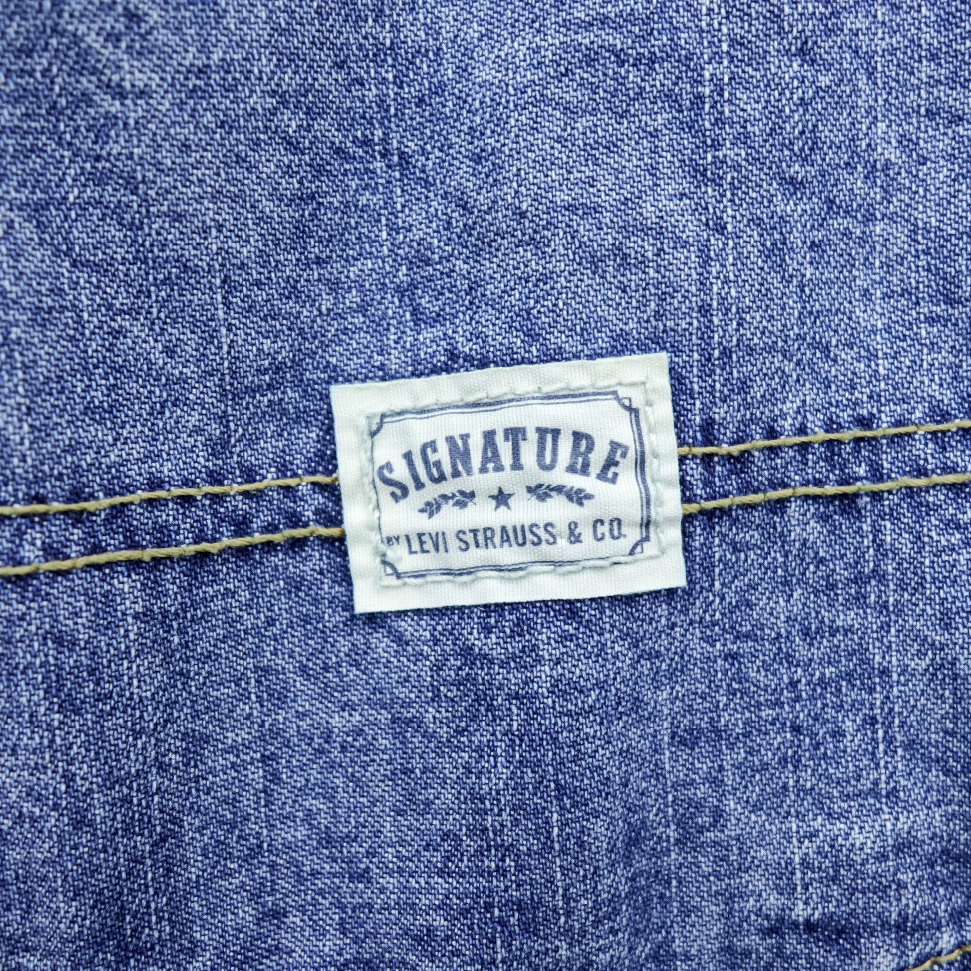 Levi's CARPENTER 00年代 ワイド ペインター デニムパンツ ジーンズ XL インディゴ 916007511 SIGNATURE