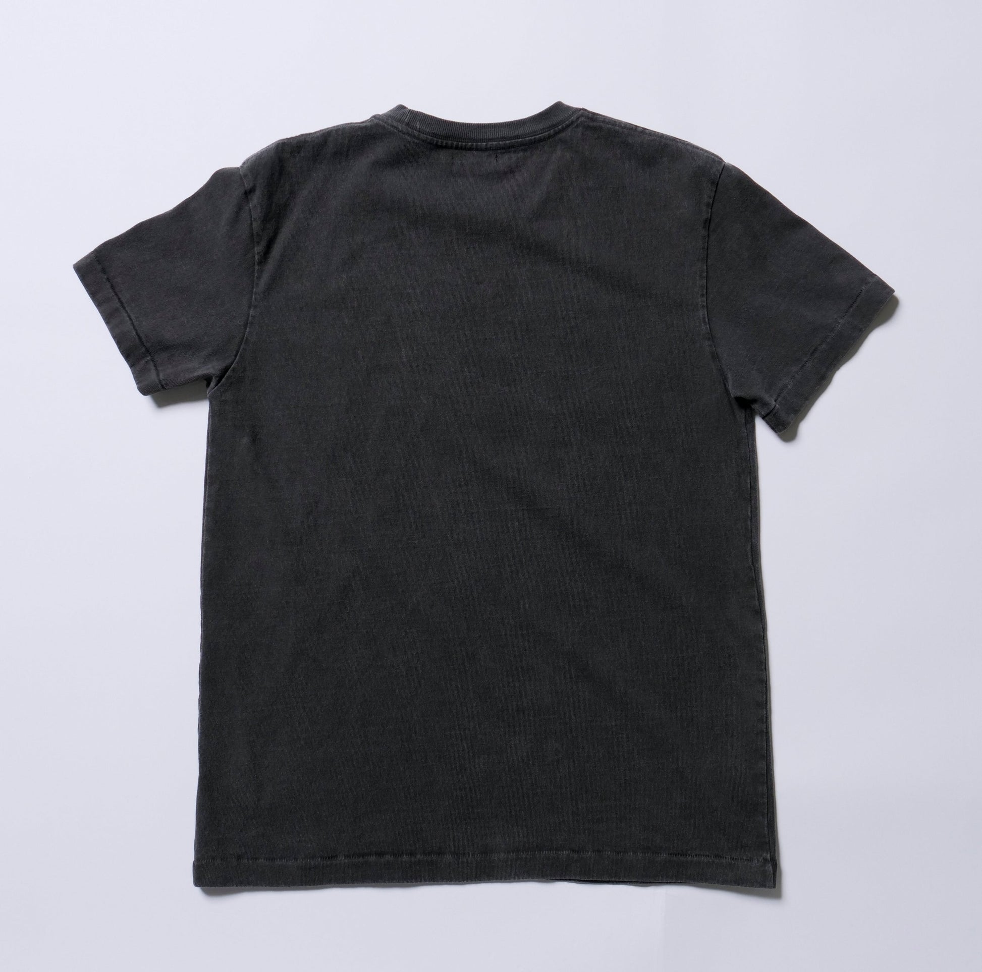 T-SHIRT A MANICHE CORTE IN JERSEY DI COTONE ASCIUTTO (ORSO)