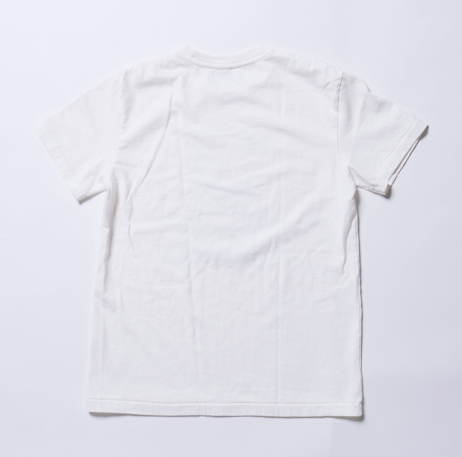 T-SHIRT A MANICHE CORTE IN JERSEY DI COTONE ASCIUTTO (ORSO)