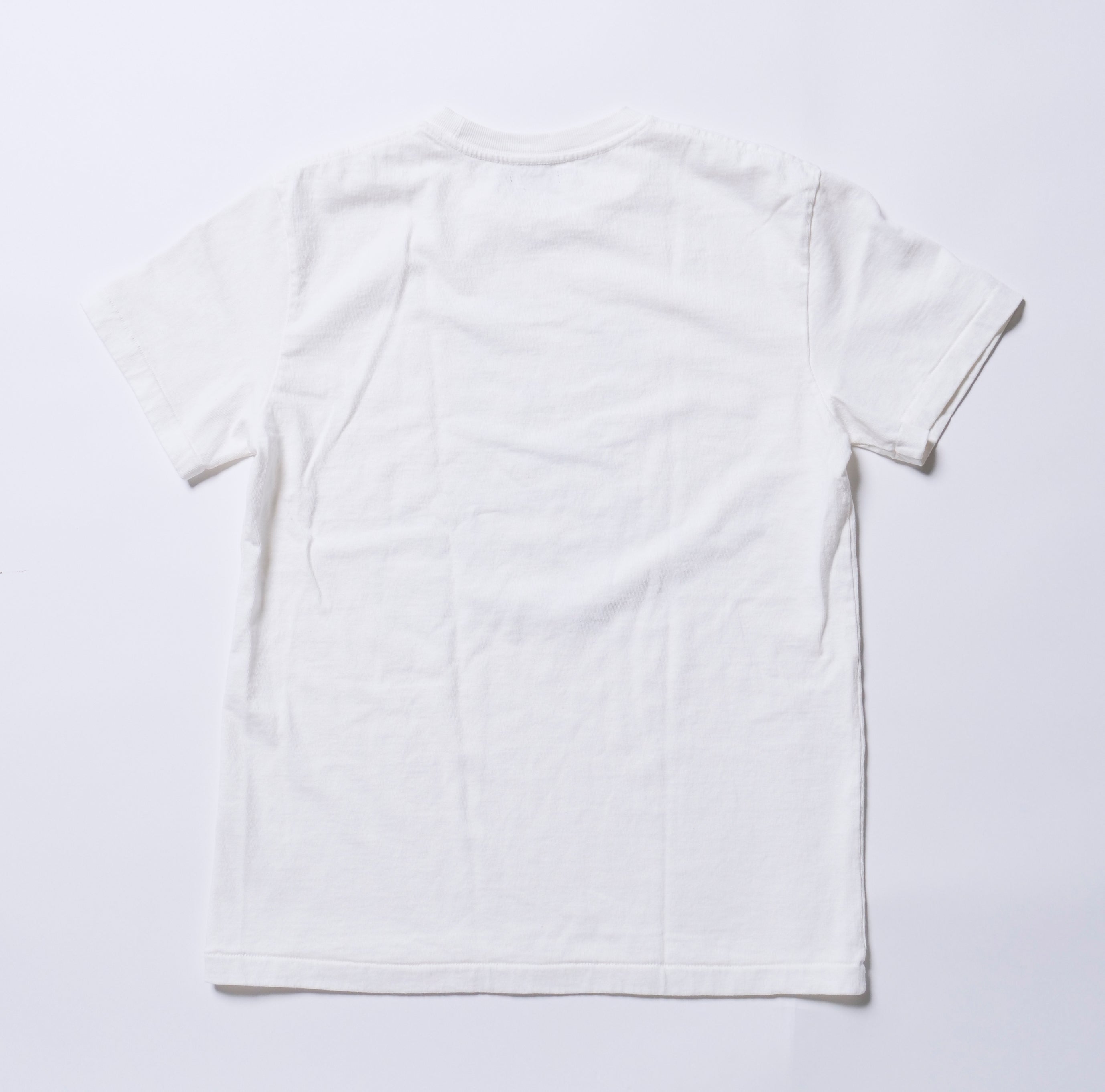 T-SHIRT A MANICHE CORTE IN JERSEY DI COTONE ASCIUTTO (ORSO)