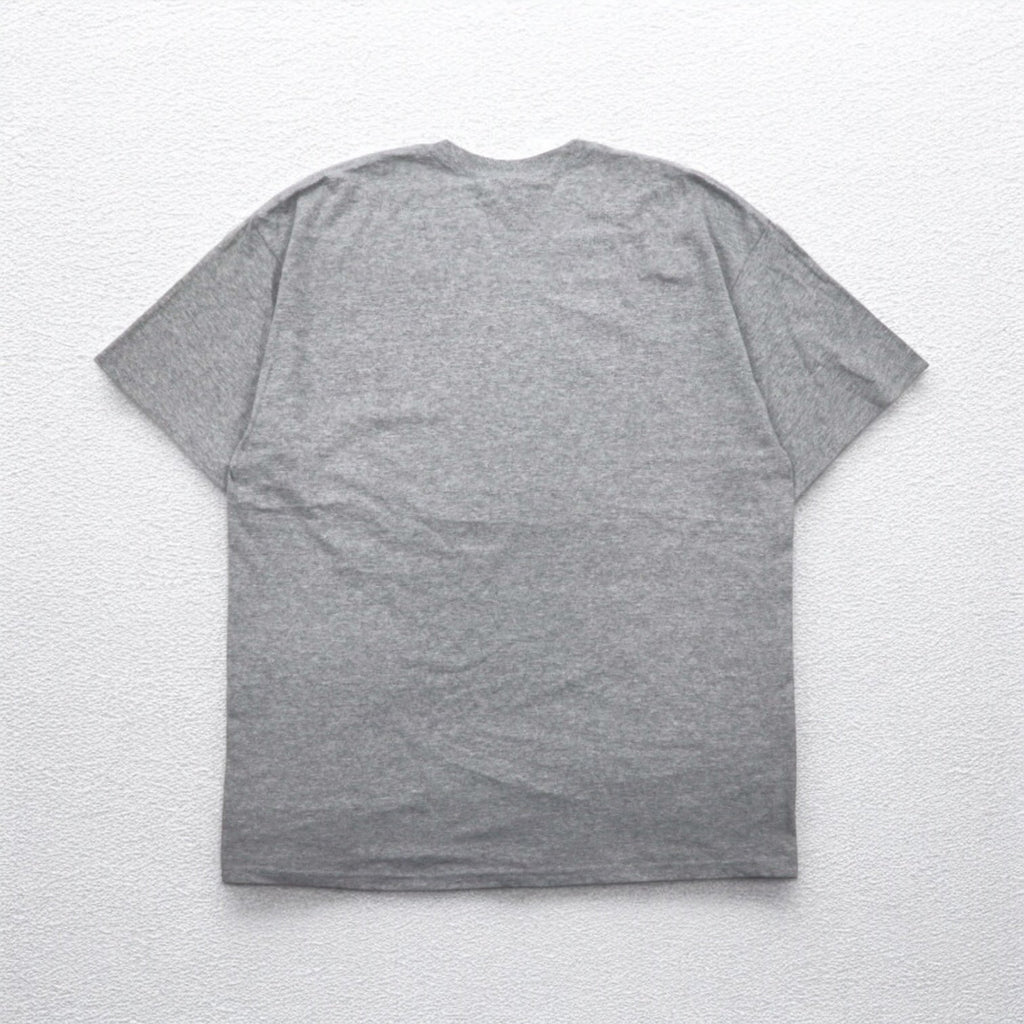 ovd old varsity brand カレッジプリント Tシャツ XL グレー NCAA OHIO STATE Buckeyes 未使用品