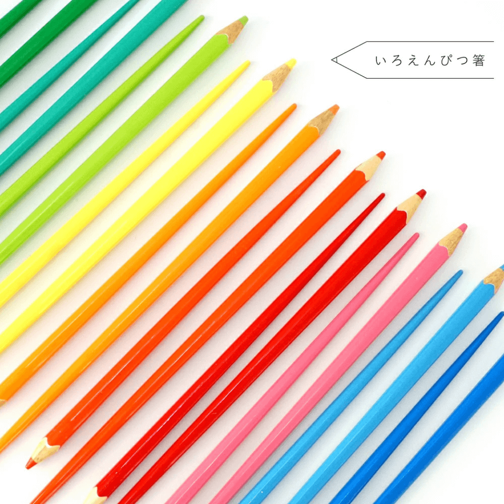 COLOUR 色鉛筆箸&クリア箸ケースのセット Lサイズ 22.5cm