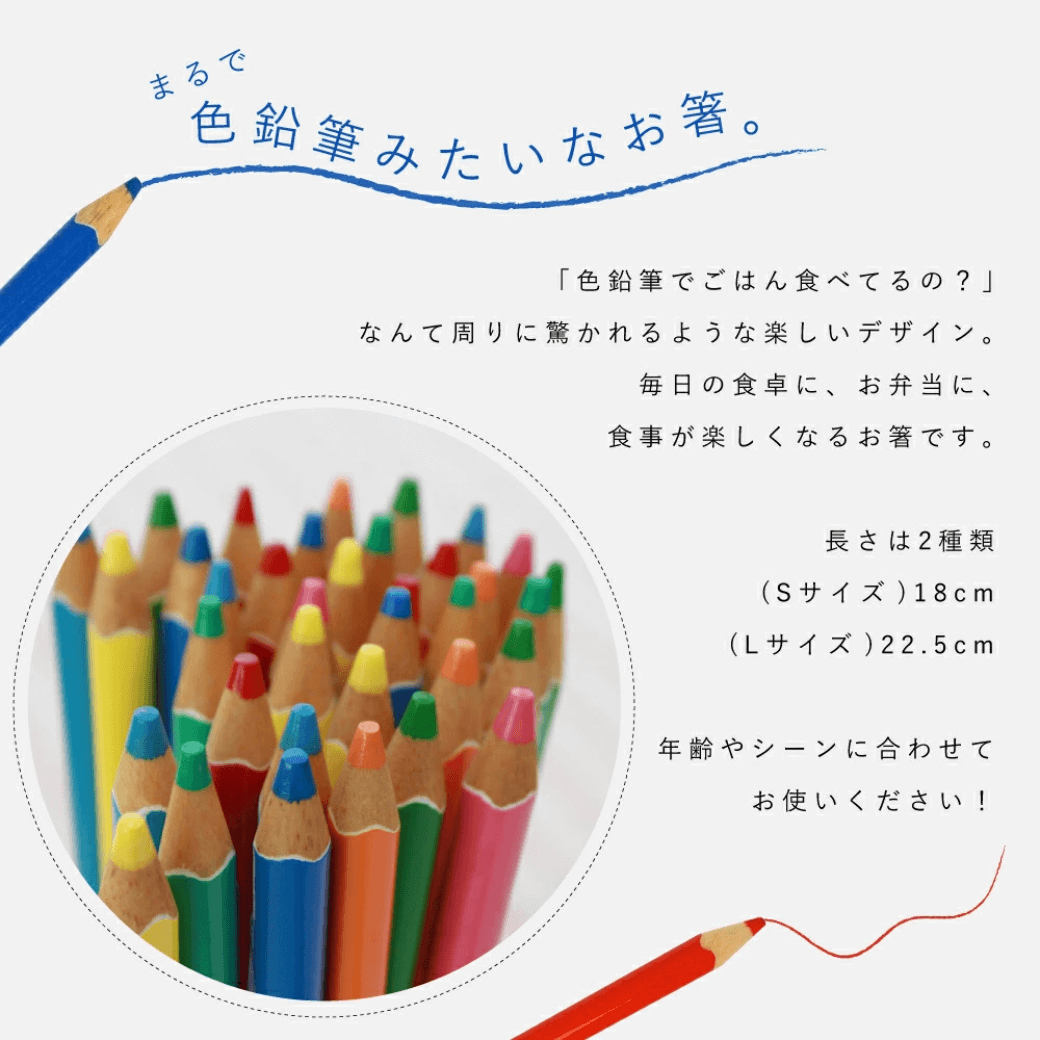 COLOUR 色鉛筆箸&クリア箸ケースのセット Lサイズ 22.5cm