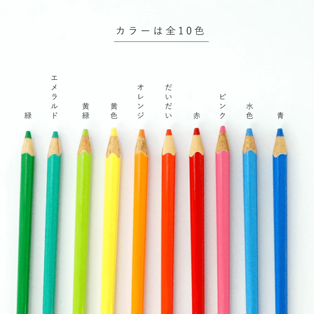 COLOUR 色鉛筆箸&クリア箸ケースのセット Sサイズ 18cm