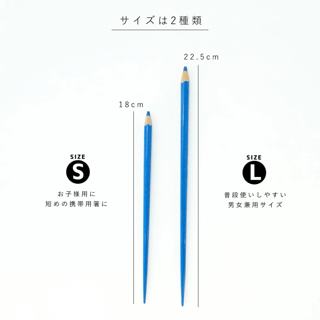 COLOUR 色鉛筆箸&クリア箸ケースのセット Sサイズ 18cm