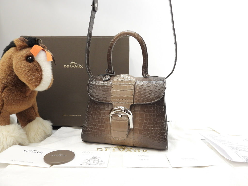 Delvaux Brillant Mini Alligator Leather Handbag Pochette Sfumata Grigio-Marrone @ 1