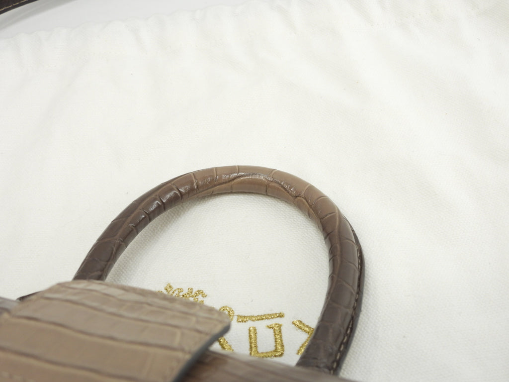 Delvaux Brillant Mini Alligator Leather Handbag Pochette Sfumata Grigio-Marrone @ 1