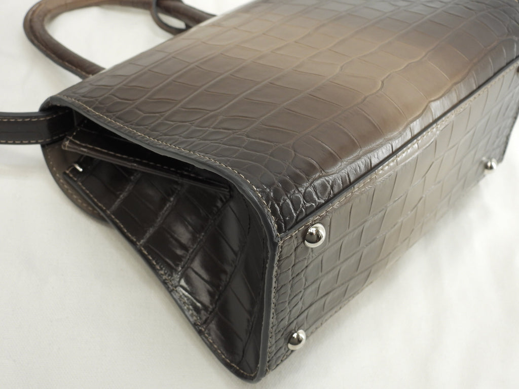 Delvaux Brillant Mini Alligator Leather Handbag Pochette Sfumata Grigio-Marrone @ 1