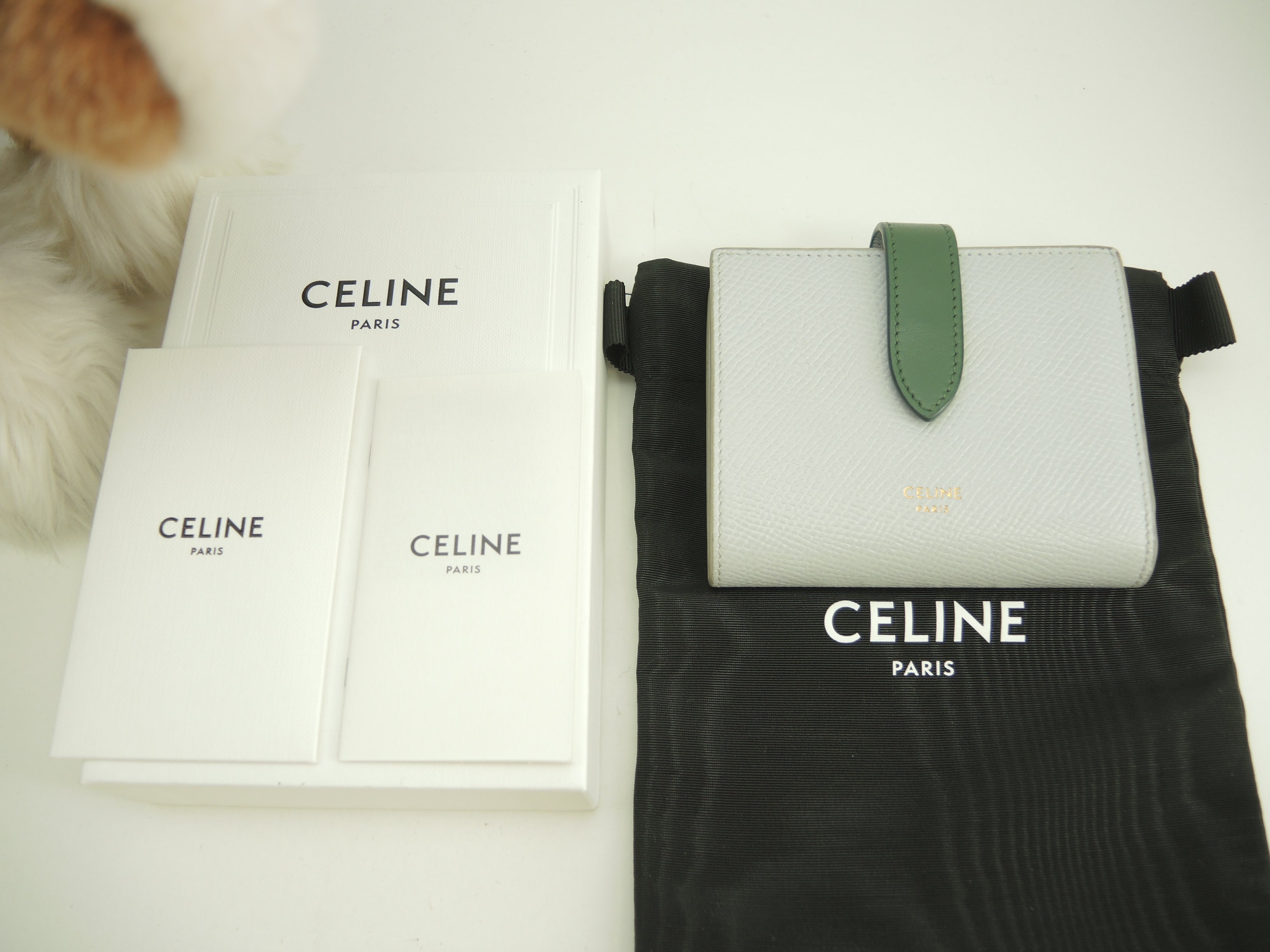 Celine Small Strap Wallet Essential in pelle azzurro/verde, portafoglio a due ante @W-9P-2271