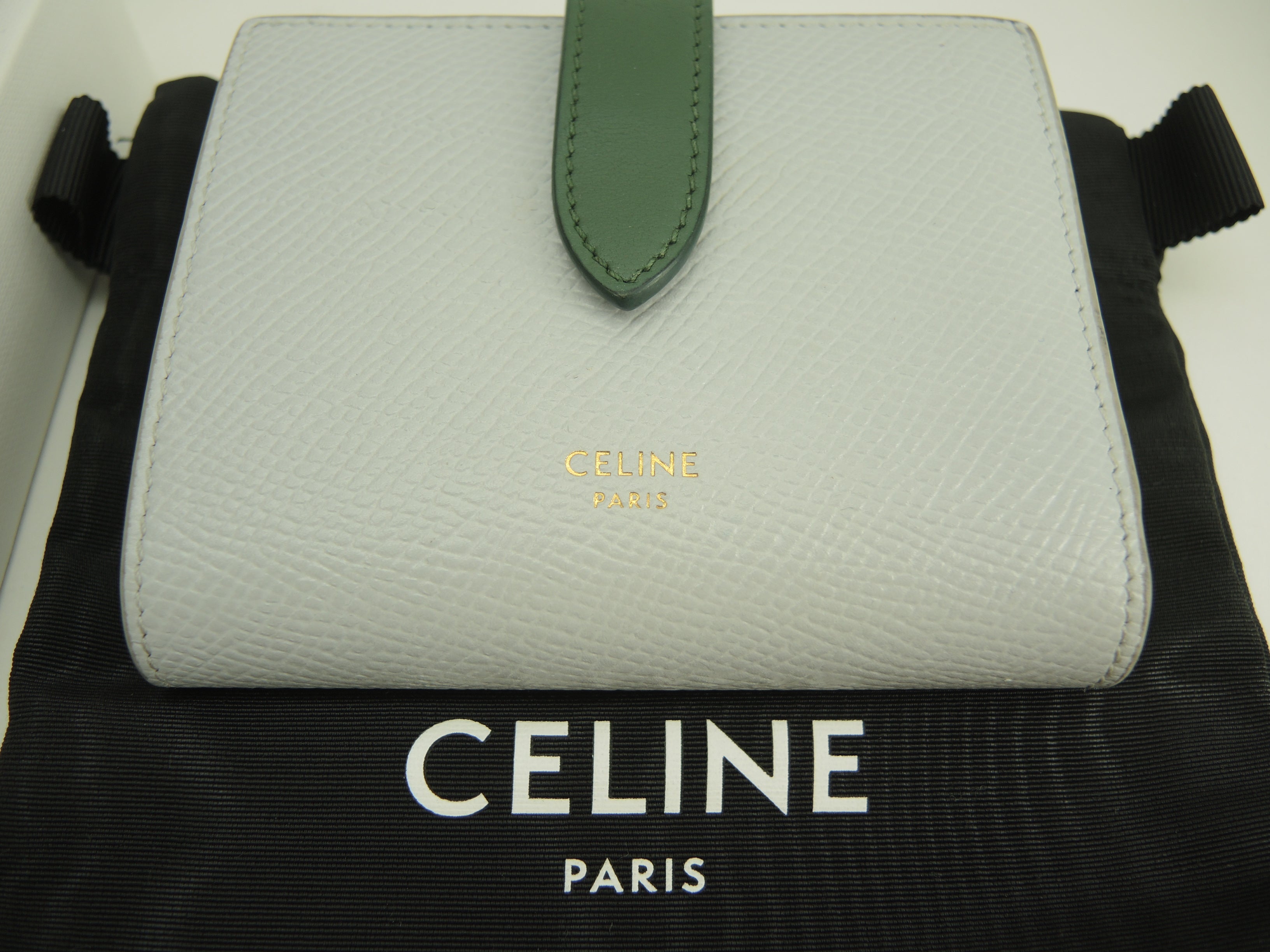 Celine Small Strap Wallet Essential in pelle azzurro/verde, portafoglio a due ante @W-9P-2271