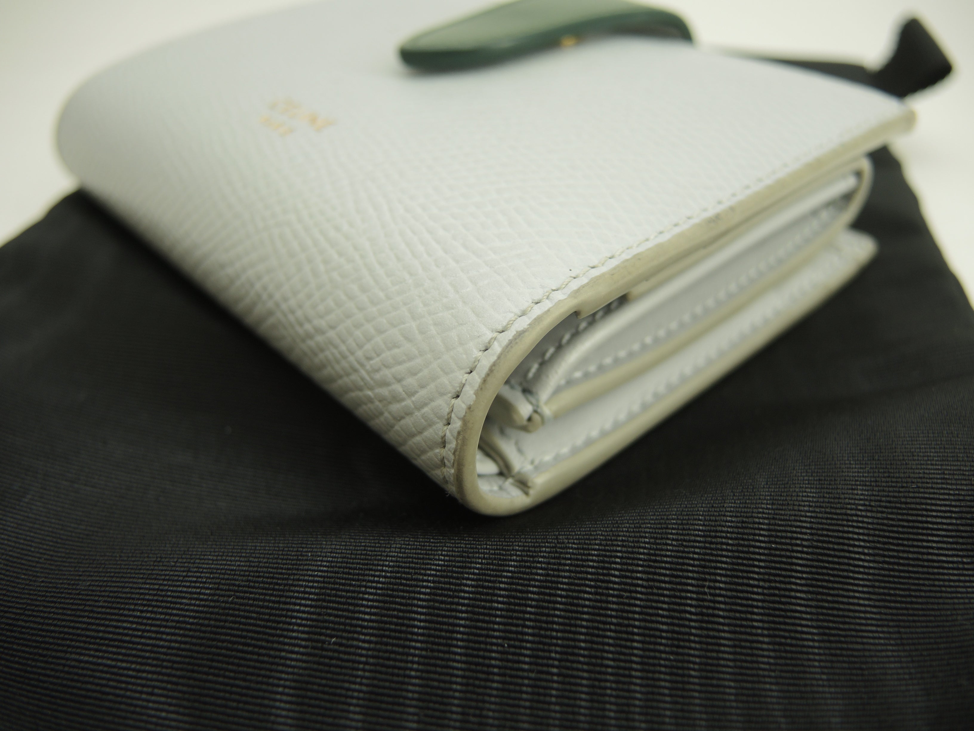 Celine Small Strap Wallet Essential in pelle azzurro/verde, portafoglio a due ante @W-9P-2271