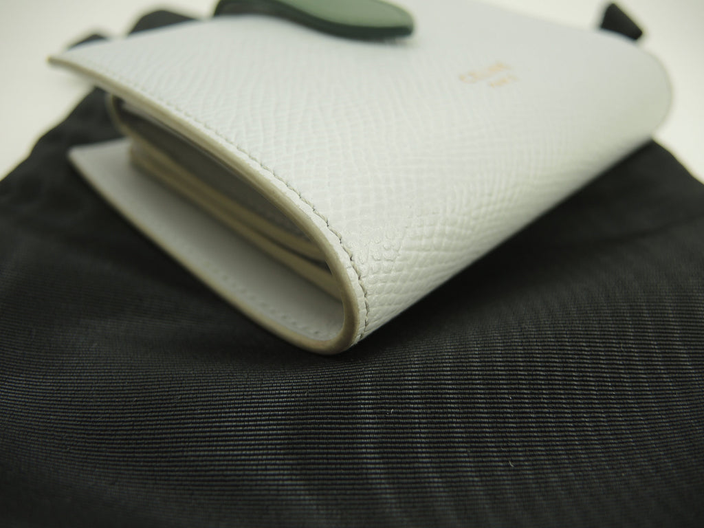 Celine Small Strap Wallet Essential in pelle azzurro/verde, portafoglio a due ante @W-9P-2271