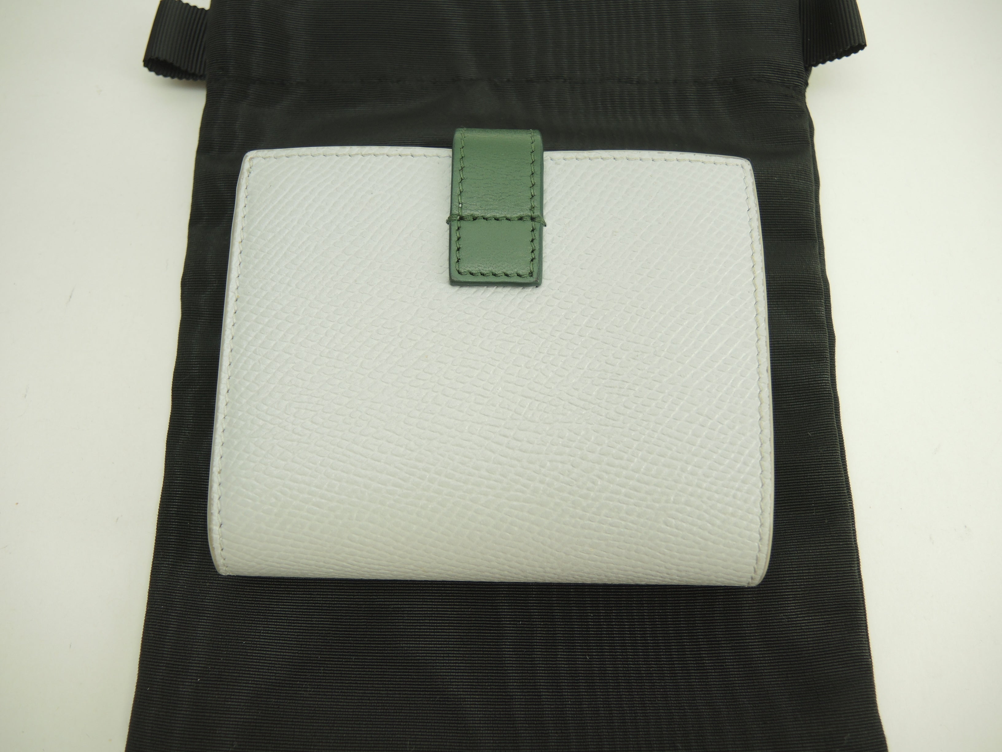 Celine Small Strap Wallet Essential in pelle azzurro/verde, portafoglio a due ante @W-9P-2271