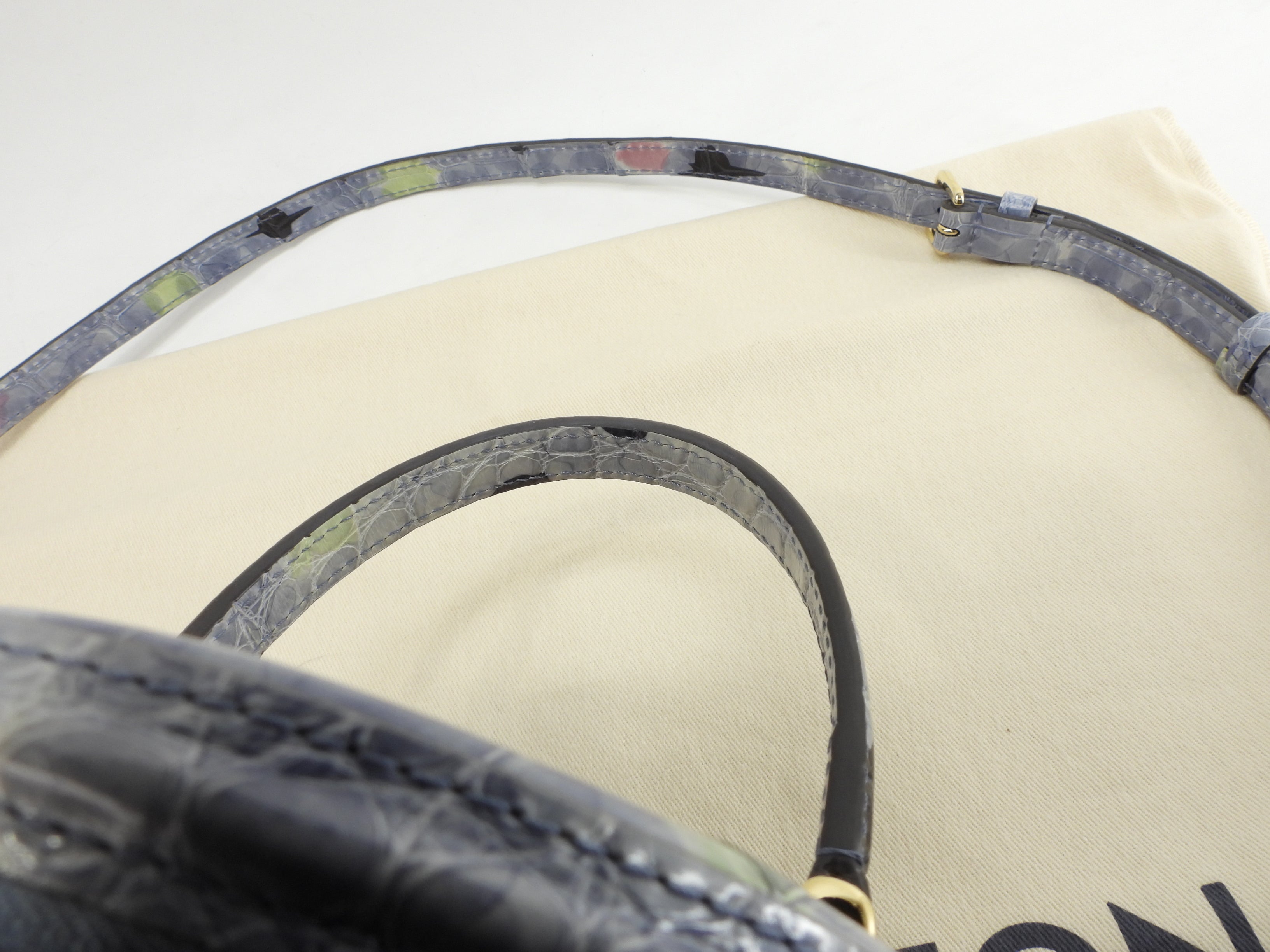 Louis Vuitton Cannes alligatore celeste borsa a mano con tracolla@PL0290