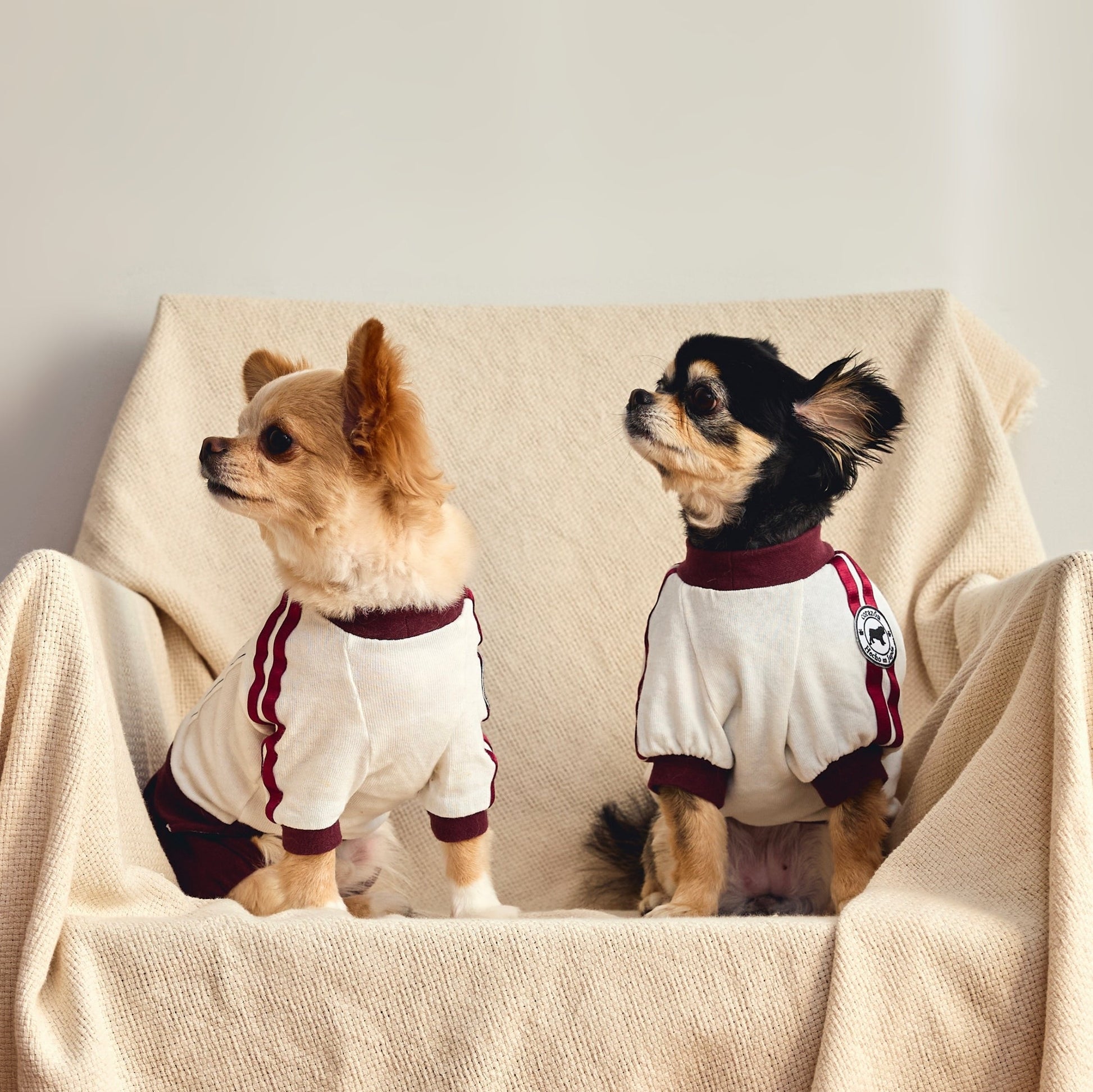 [Bordeaux] Completo ginnico con pettorina - 100% cotone
