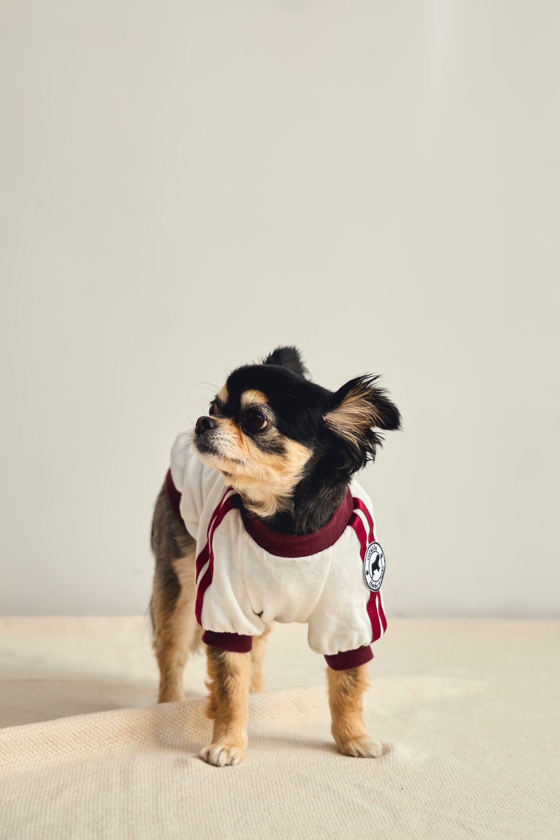 [Bordeaux] Completo ginnico con pettorina - 100% cotone
