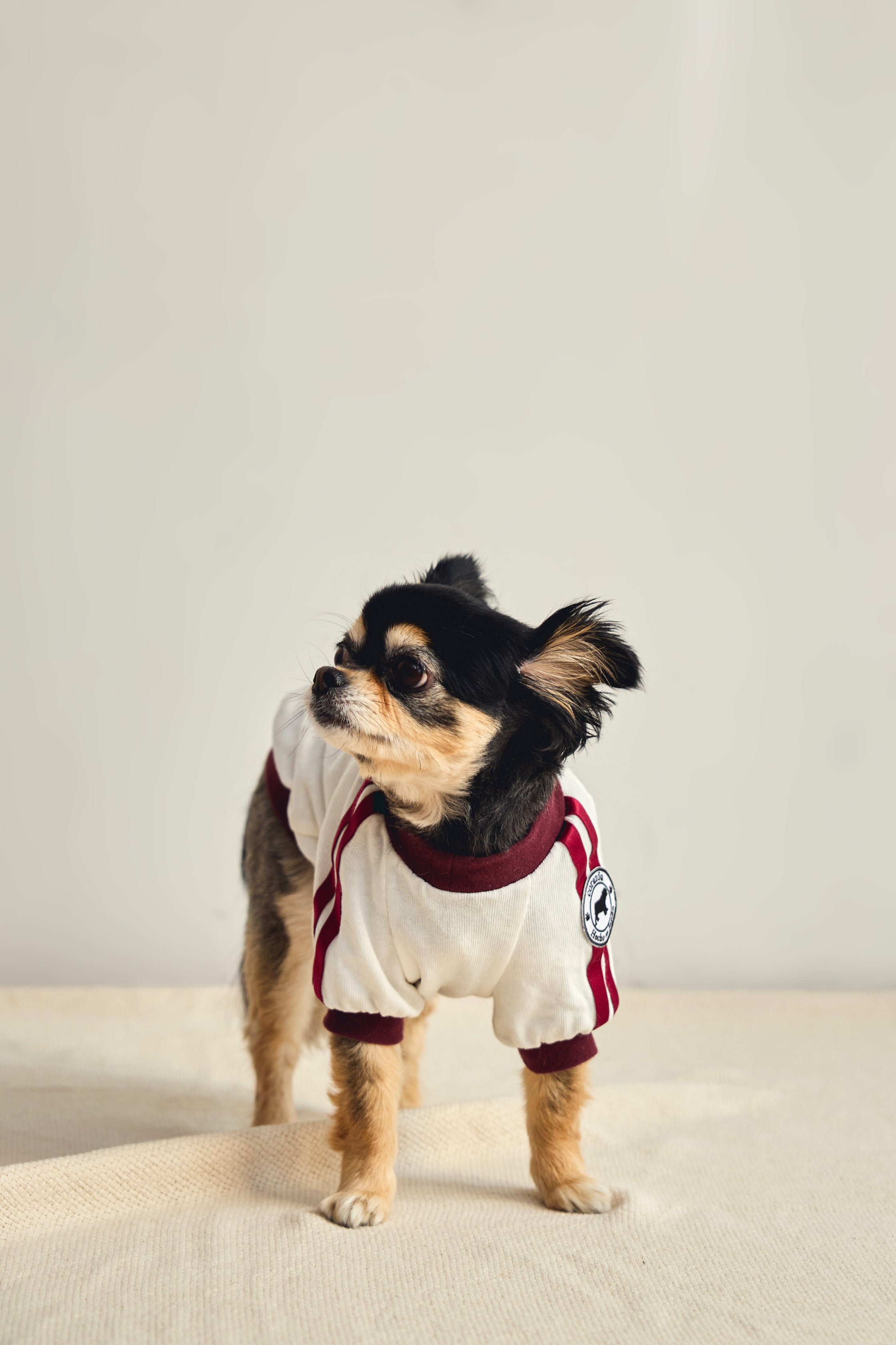 [Bordeaux] Completo ginnico con pettorina - 100% cotone