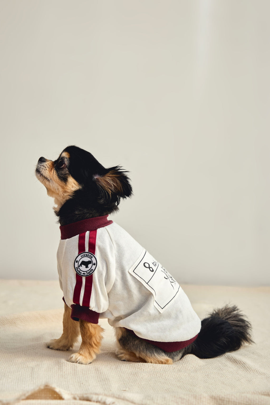 [Bordeaux] Completo ginnico con pettorina - 100% cotone