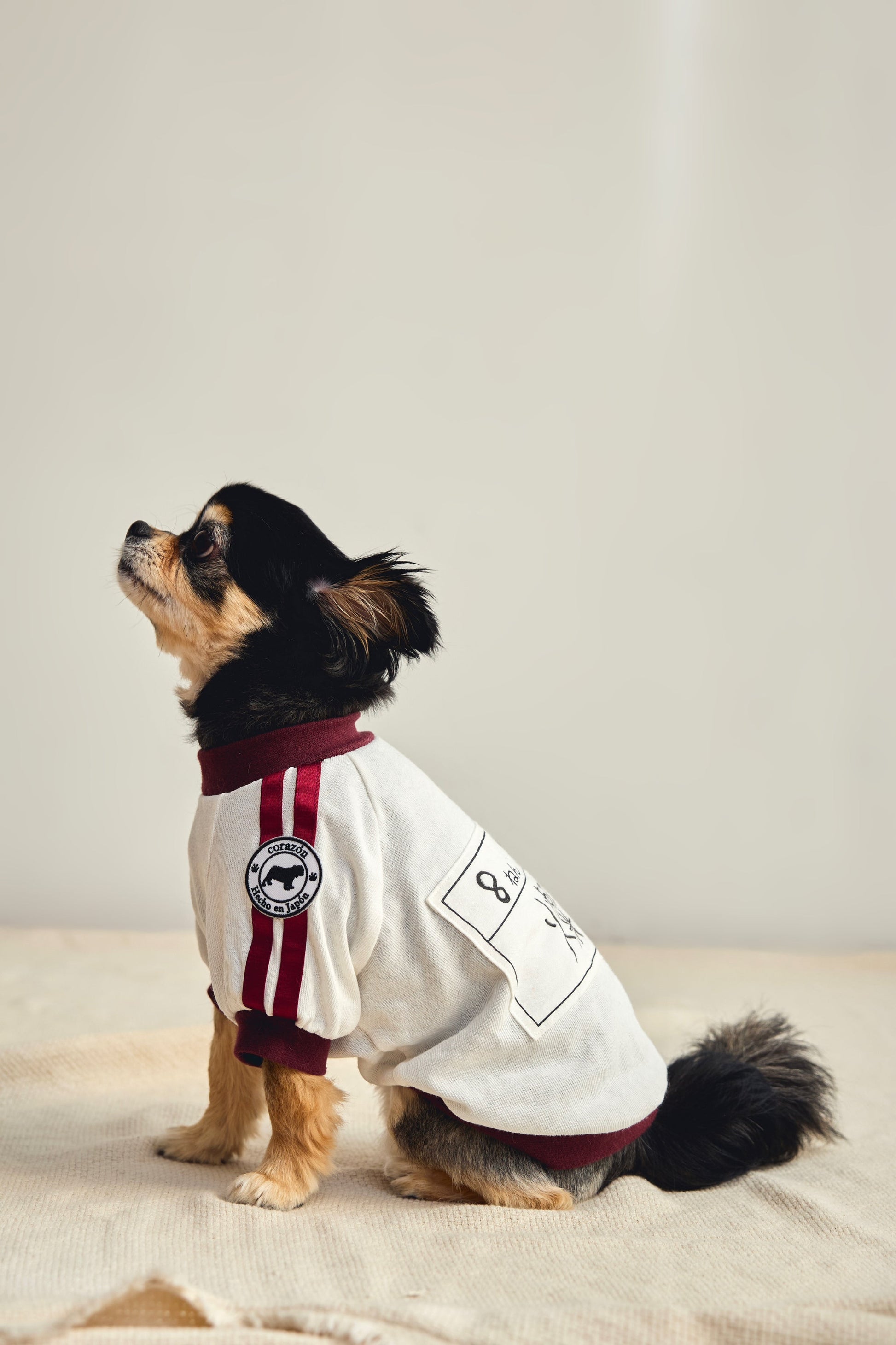 [Bordeaux] Completo ginnico con pettorina - 100% cotone