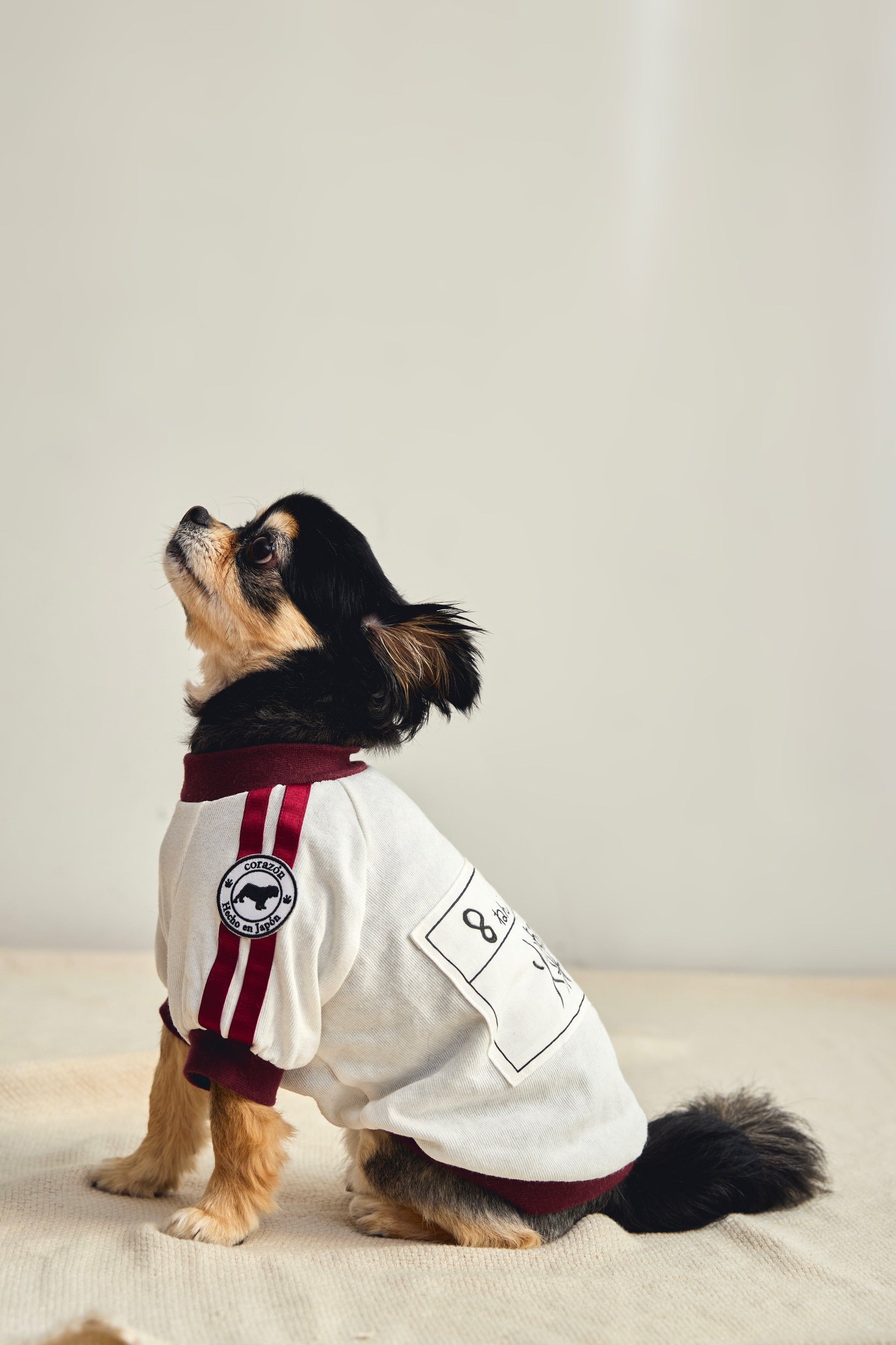 [Bordeaux] Completo ginnico con pettorina - 100% cotone