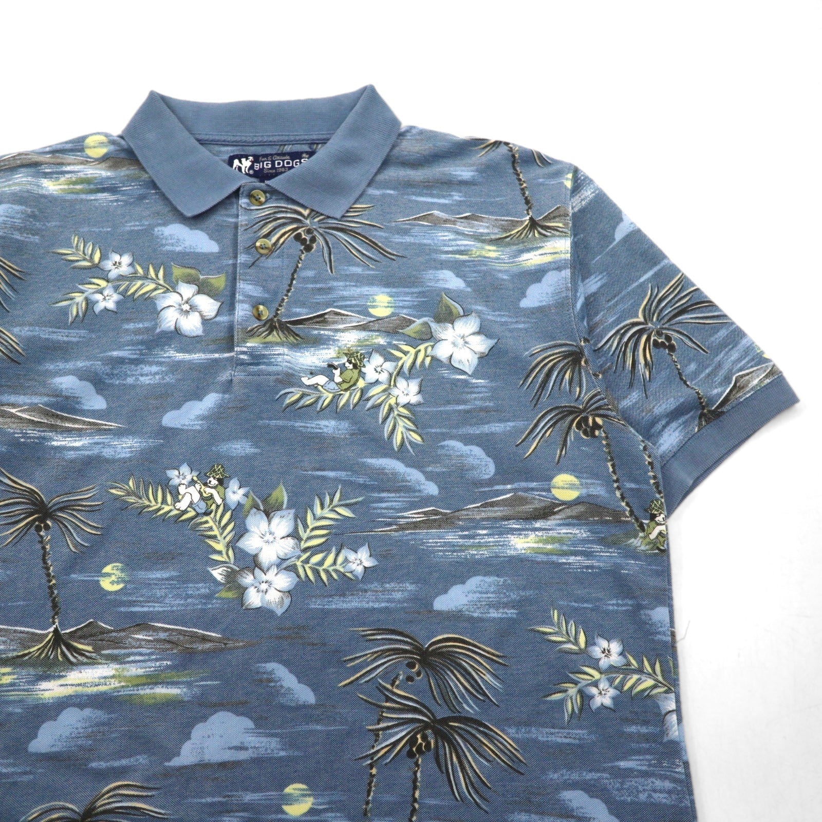 BIG DOGS Anni '90 Polo hawaiana M Blu Fantasia Cotone Poliestere