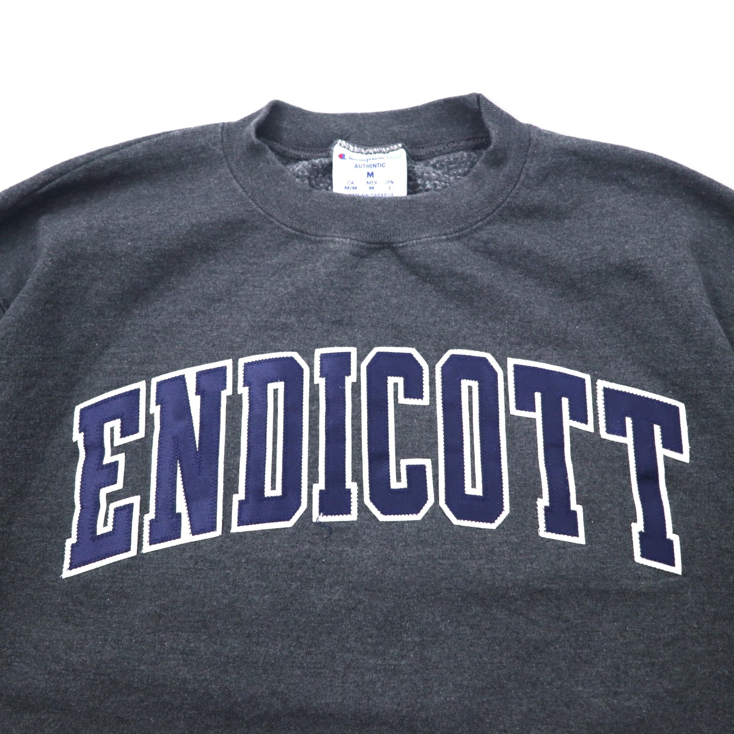 Champion ECO Felpa da college ricamata L grigio cotone ENDICOTT Logo ad arco