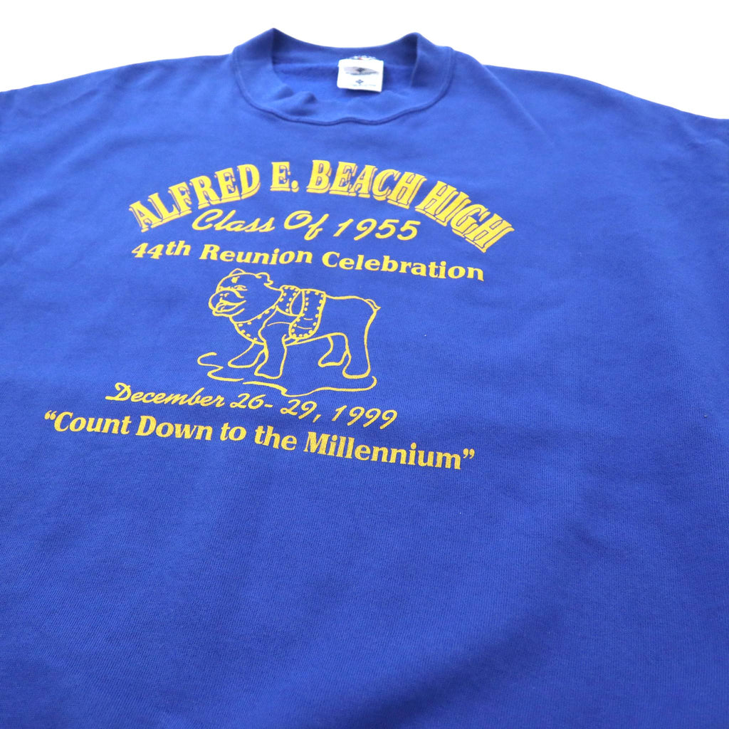 Felpa oversize JERZEES made in USA con stampa college, 2X, blu, in cotone felpato, ALFRED E. BEACH HIGH, anni '90