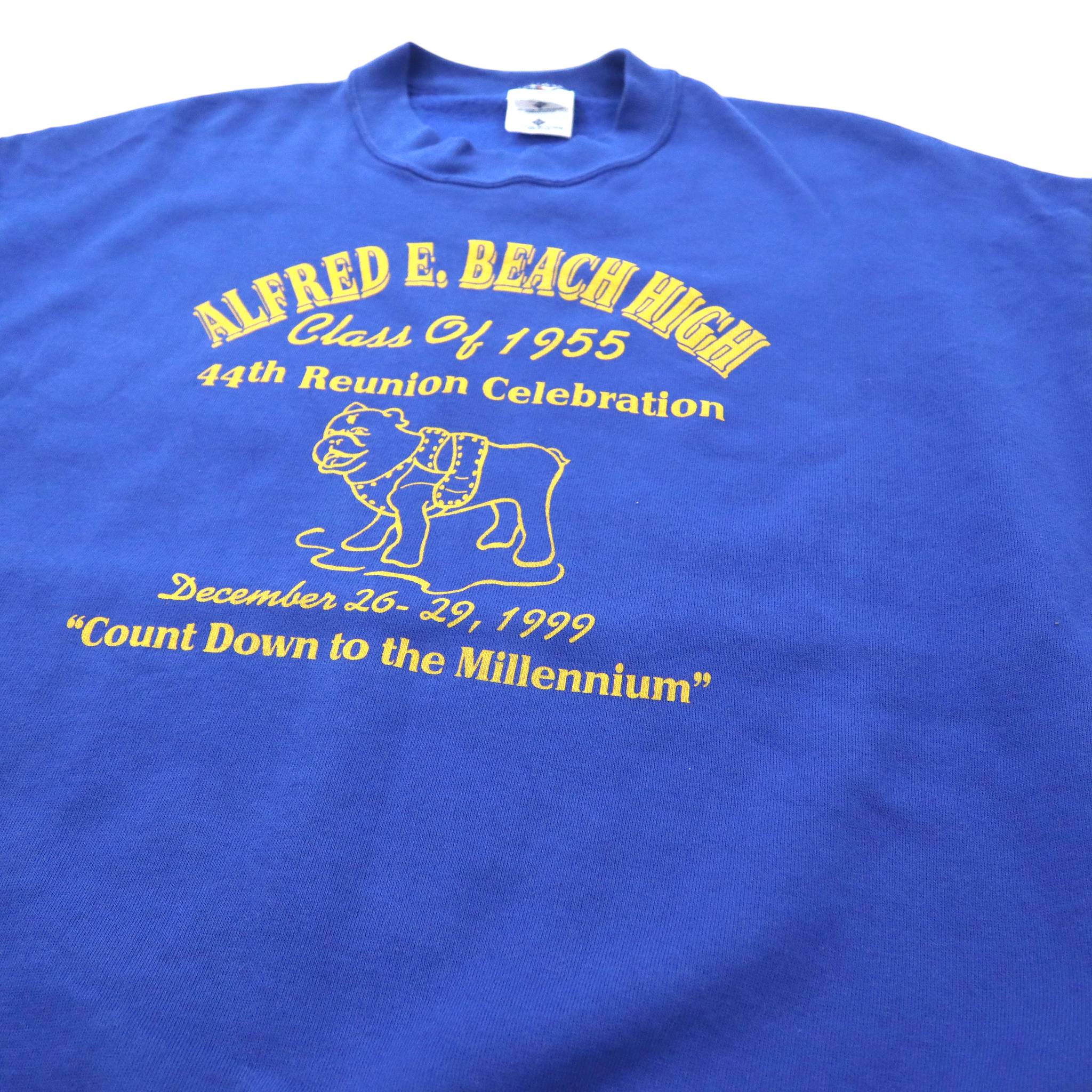 Felpa oversize JERZEES made in USA con stampa college, 2X, blu, in cotone felpato, ALFRED E. BEACH HIGH, anni '90
