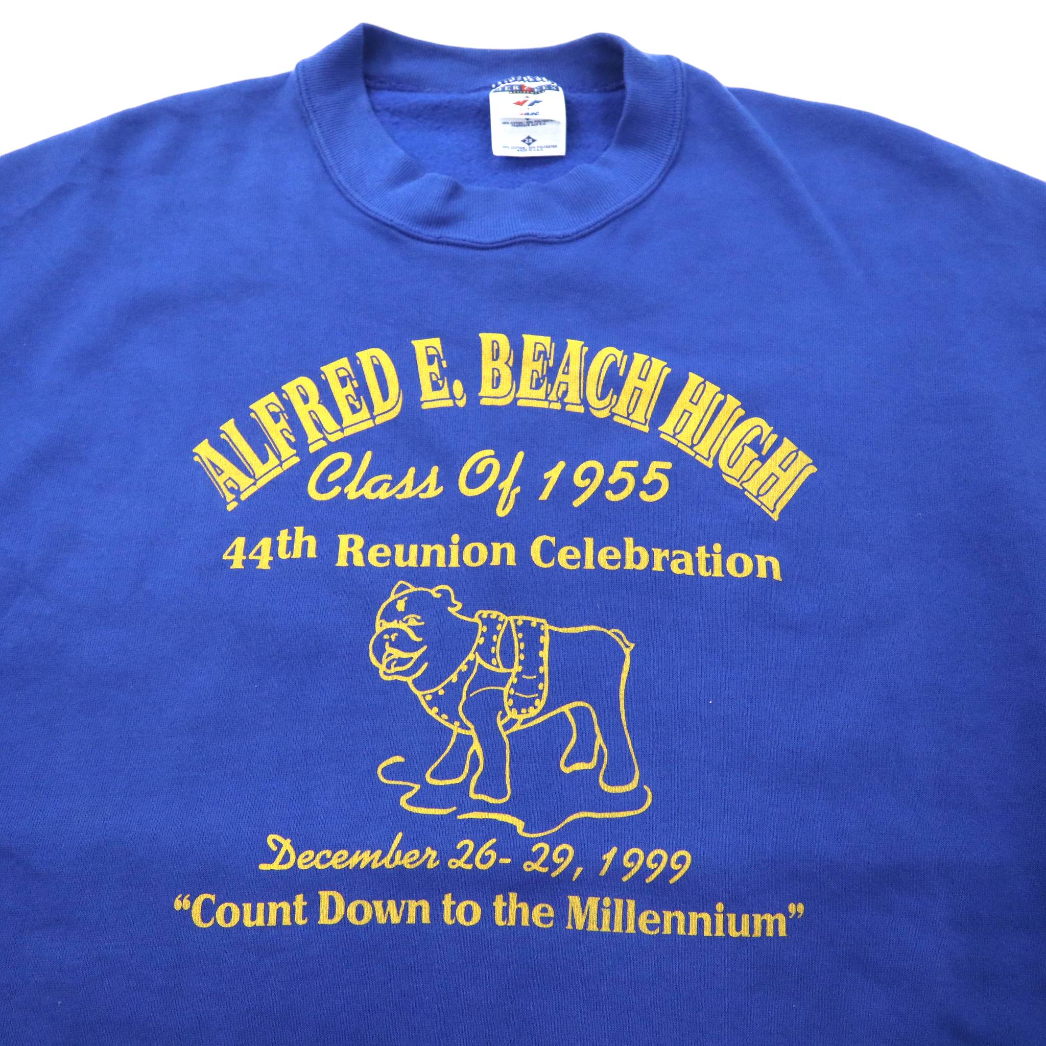 Felpa oversize JERZEES made in USA con stampa college, 2X, blu, in cotone felpato, ALFRED E. BEACH HIGH, anni '90