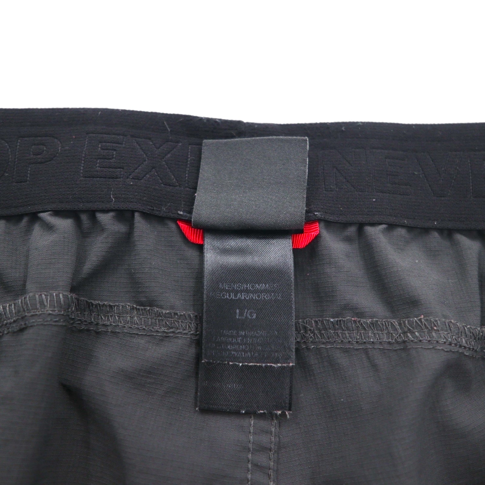 THE NORTH FACE pantaloncini corti outdoor ripstop L grigi in nylon impermeabile standard USA ARPE