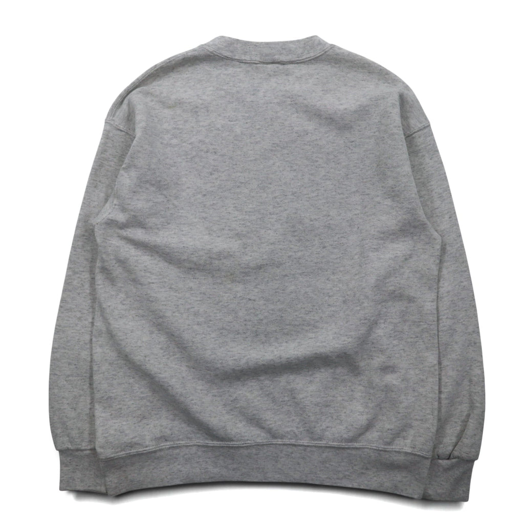 USA, anni '90, NUTMEG MILLS, felpa stampata college, M, grigio, interno felpato, WEST VIRGINIA