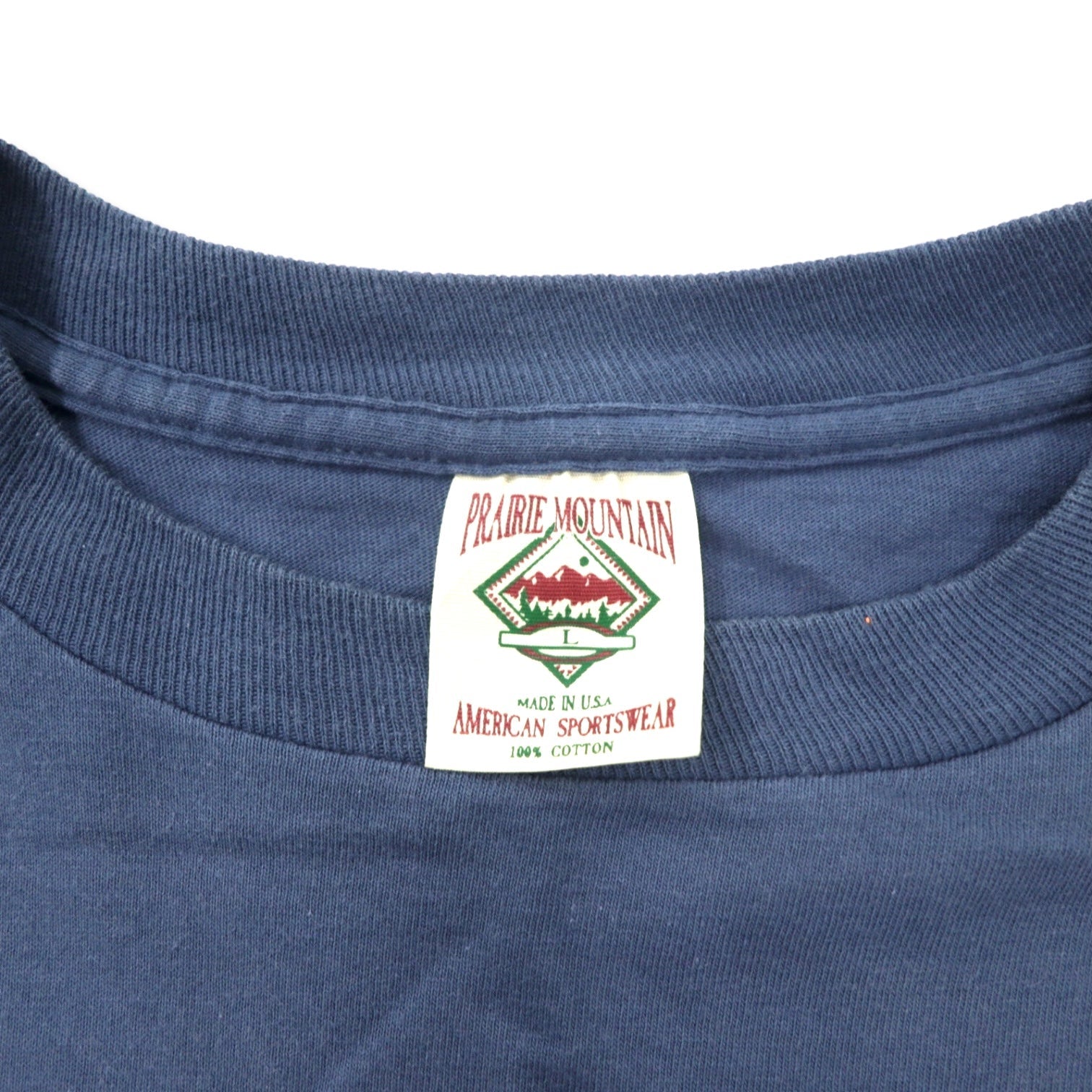 T-shirt Praire Mountain Made in USA anni '90 stampa indiana L blu navy cotone Bryce Canyon