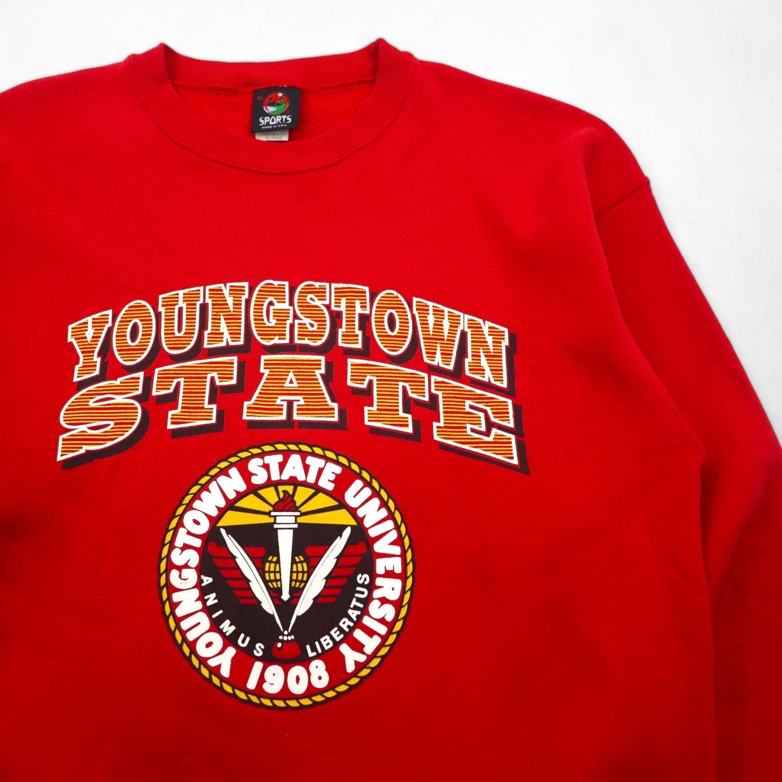 PM SPORTS 90s USA Vintage Sweatshirt スウェット トレーナー XL レッド 90年代 USA製 YOUNGSTOWN STATE UBIVERSITY