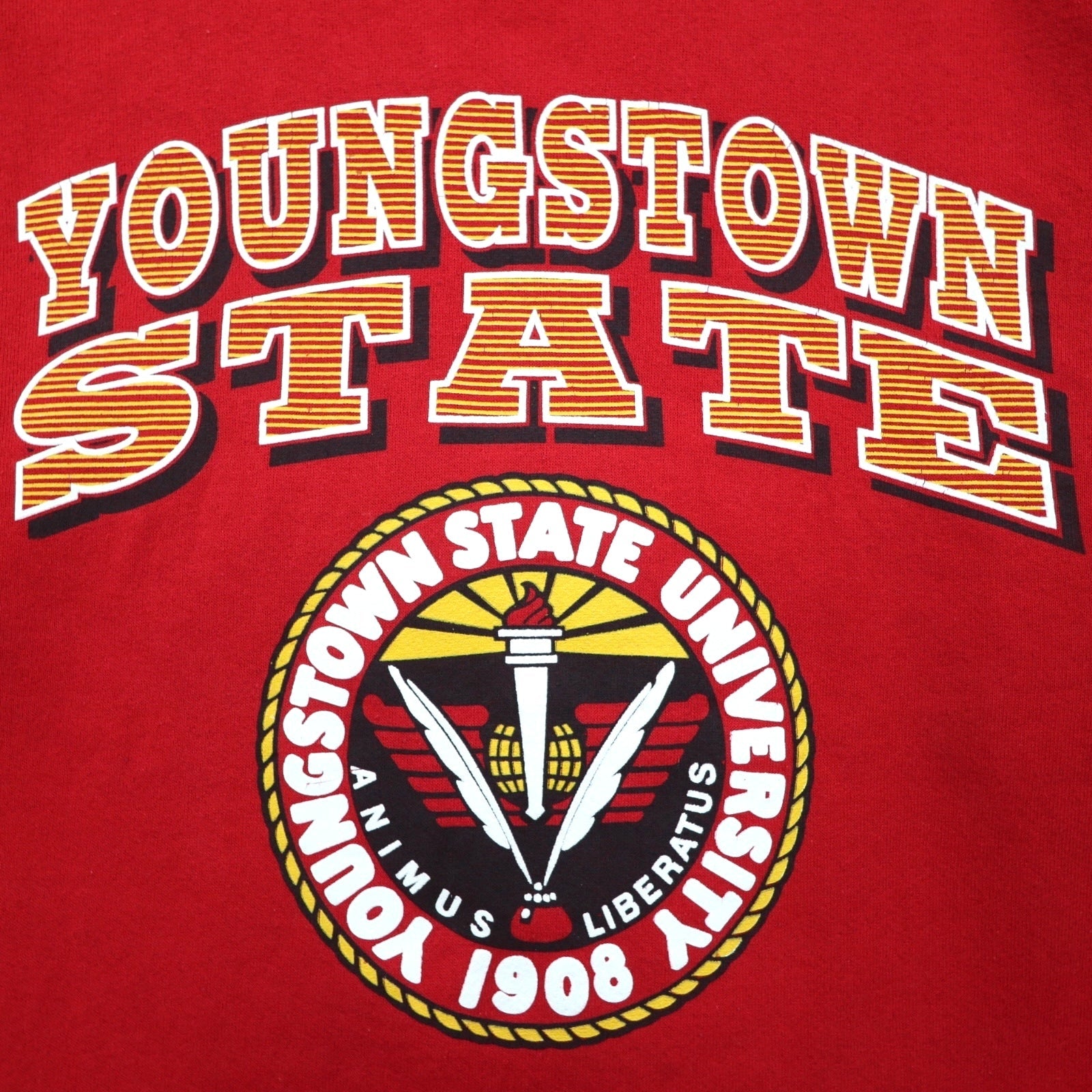 PM SPORTS 90s USA Vintage Sweatshirt スウェット トレーナー XL レッド 90年代 USA製 YOUNGSTOWN STATE UBIVERSITY