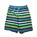 patagonia Wavefarer Boardshorts Pantaloncini S Blu Navy Verde a righe Nylon 67817