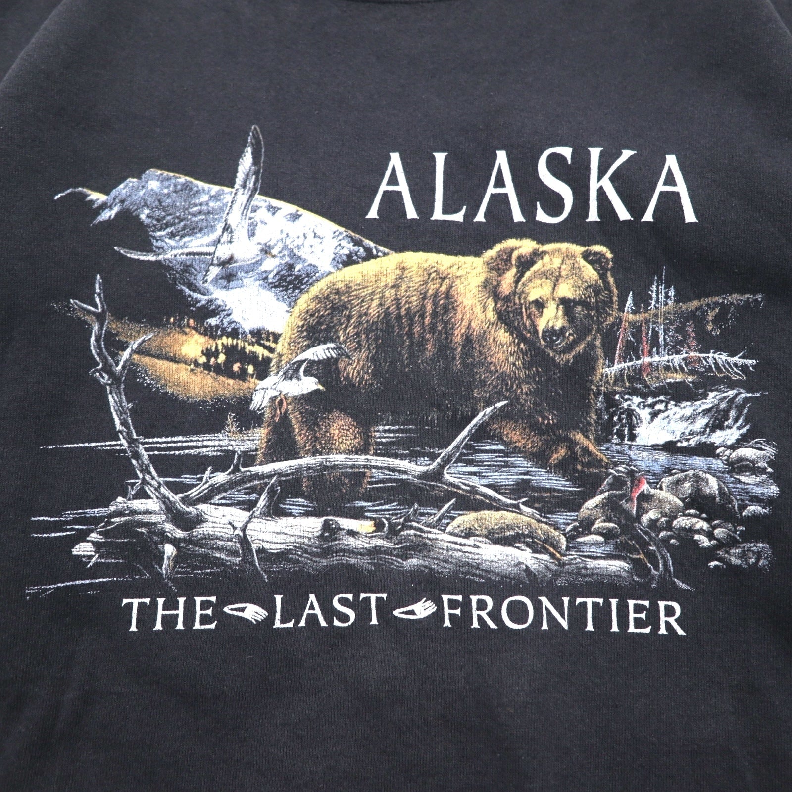 Felpa girocollo vintage anni '90, prodotta in Messico, stampa grafica SANTEE, taglia L, colore nero, ALASKA